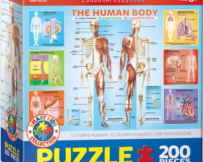 The Human Body 200 piece jigsaw puzzle